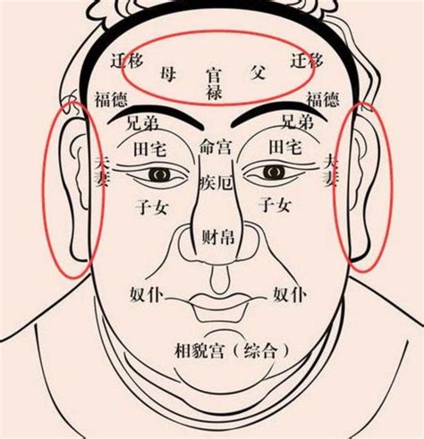 福鼻面相|相学最有福气的7种鼻子 面相中最有福气的7种鼻子